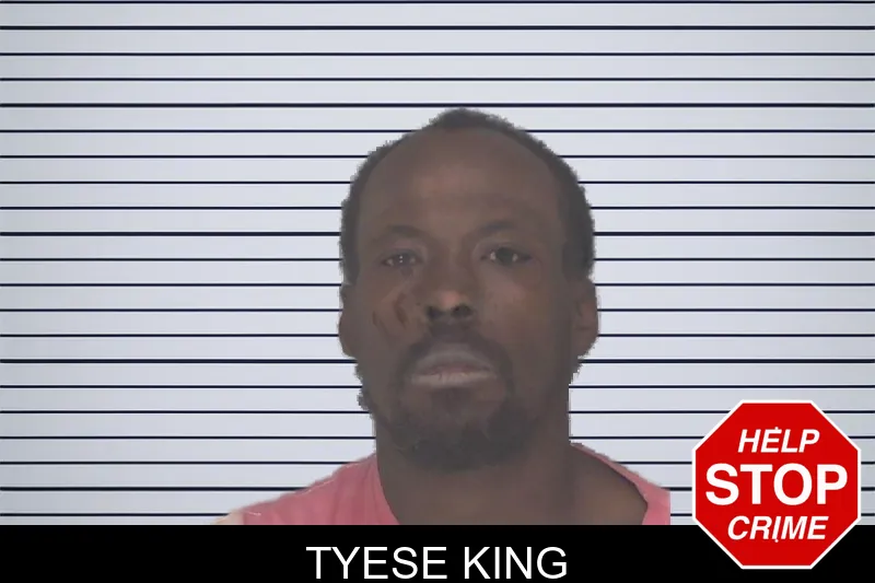 Tyese King mugshot