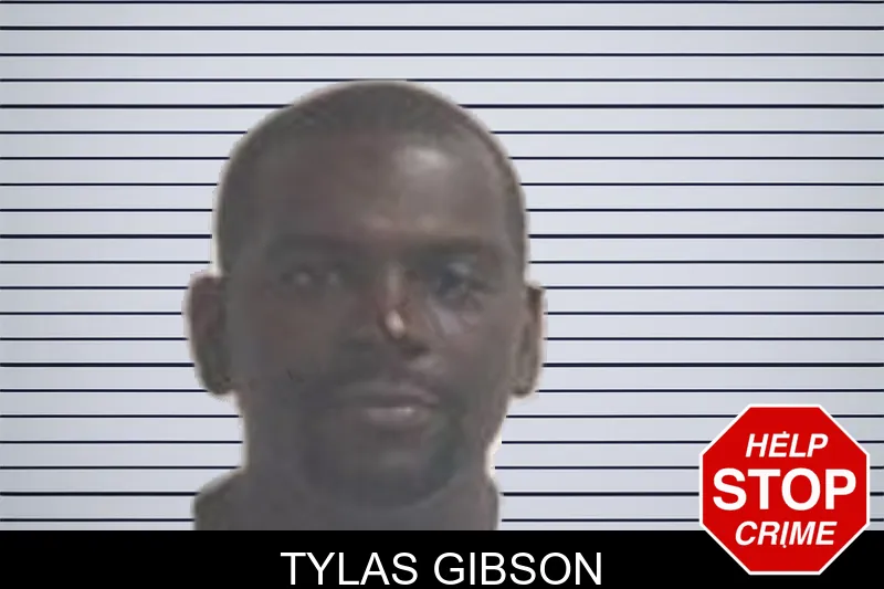 Tylas Gibson mugshot