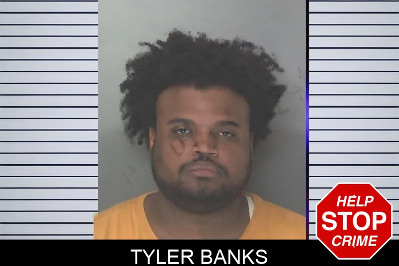 Tyler Banks mugshot