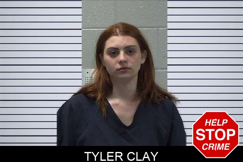 Tyler Clay mugshot