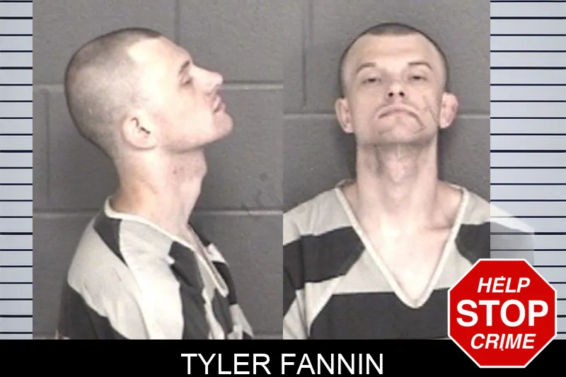 Tyler Fannin mugshot