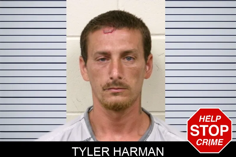 Tyler Harman mugshot