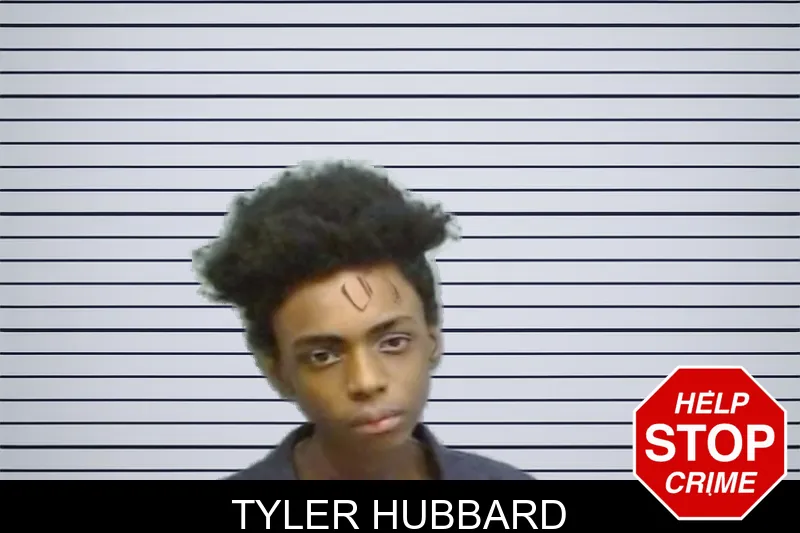 Tyler Hubbard mugshot