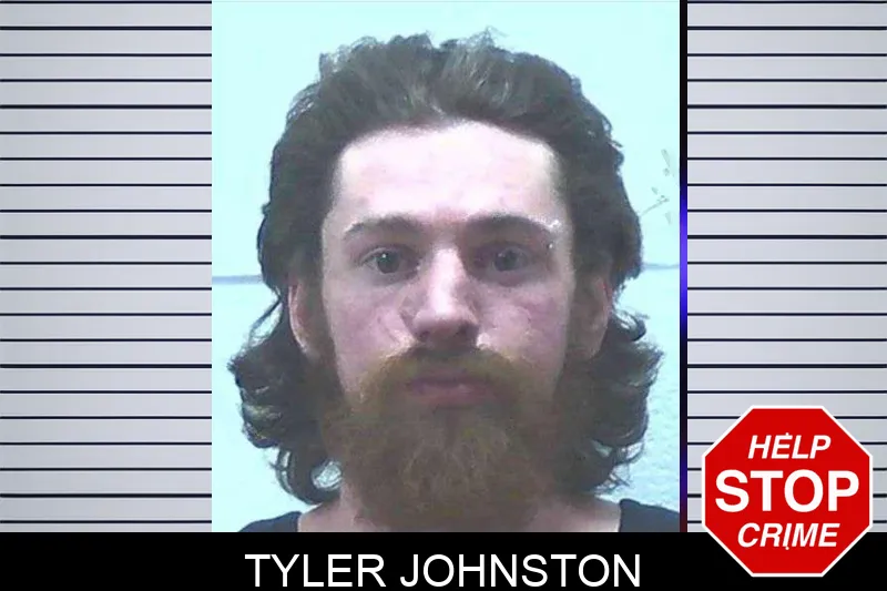 Tyler Johnston mugshot