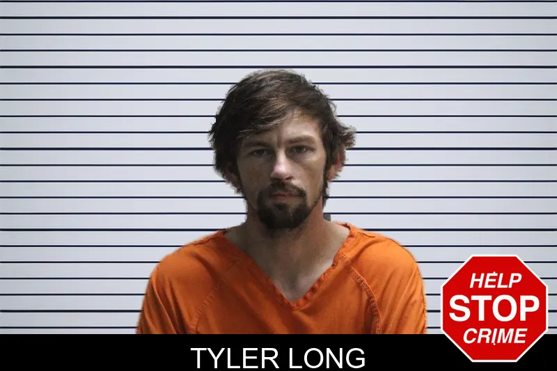 Tyler Long mugshot