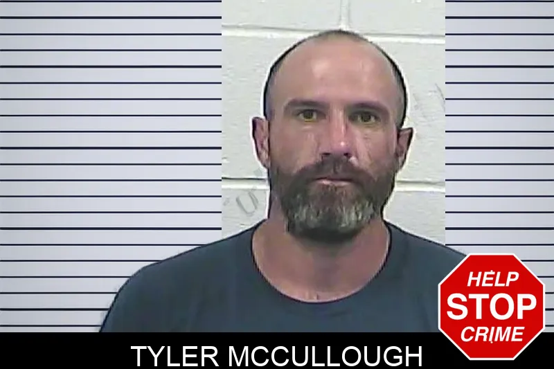 Tyler McCullough mugshot