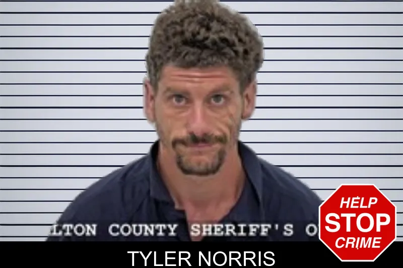 Tyler Norris mugshot