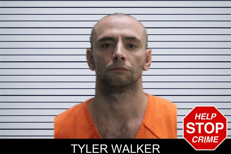 Tyler Walker mugshot