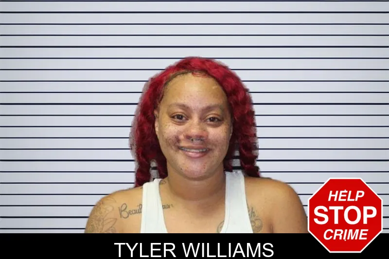 Tyler Williams mugshot
