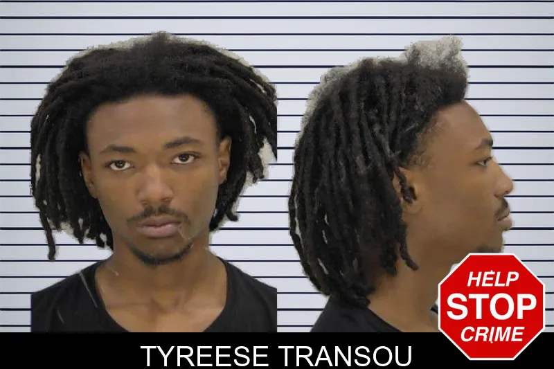 Tyreese Transou mugshot
