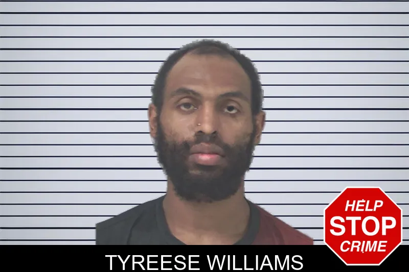 Tyreese Williams mugshot