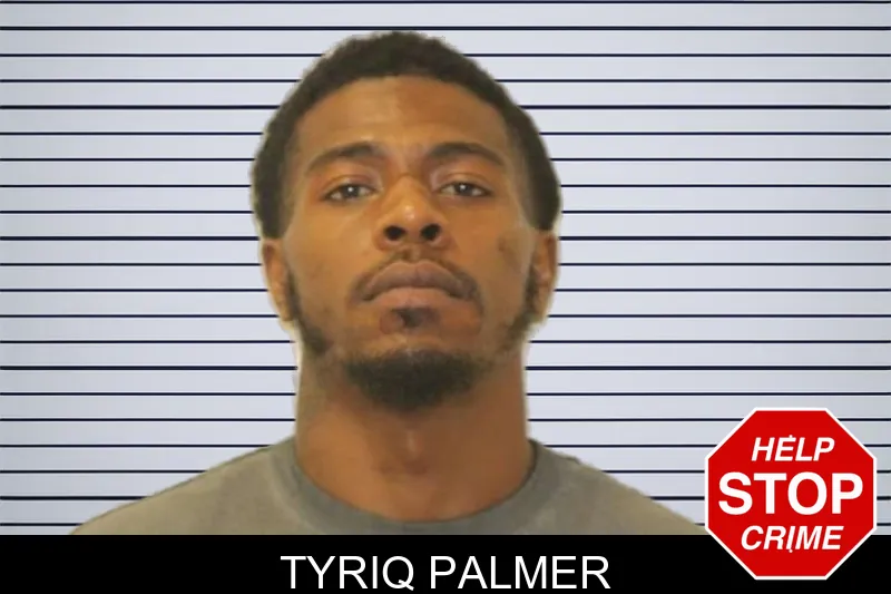 Tyriq Palmer mugshot