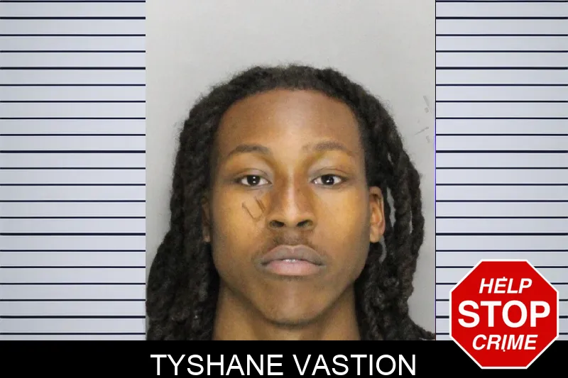 Tyshane Vastion mugshot