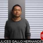 Ulices Gallo Hernandez mugshot