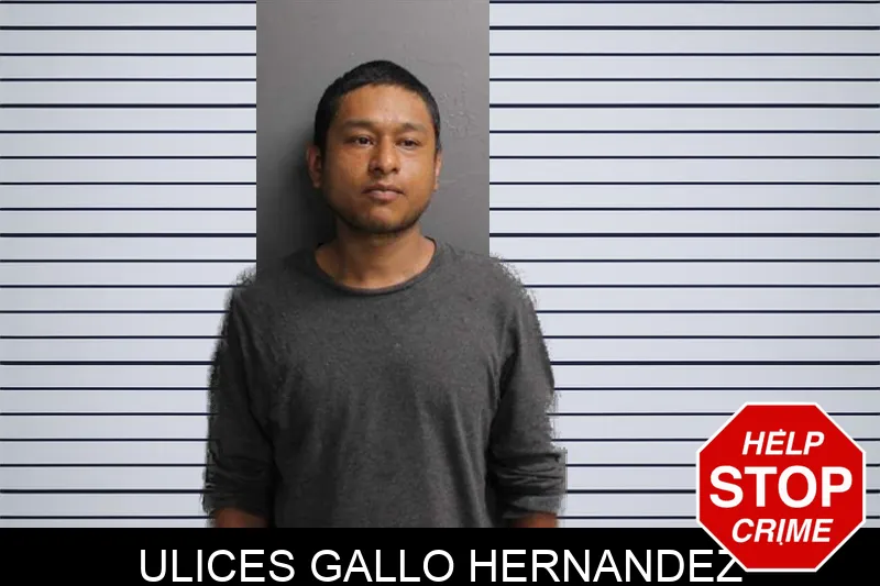 Ulices Gallo Hernandez mugshot