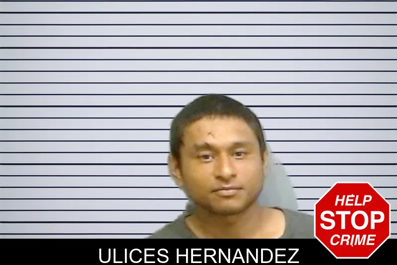 Ulices Hernandez mugshot