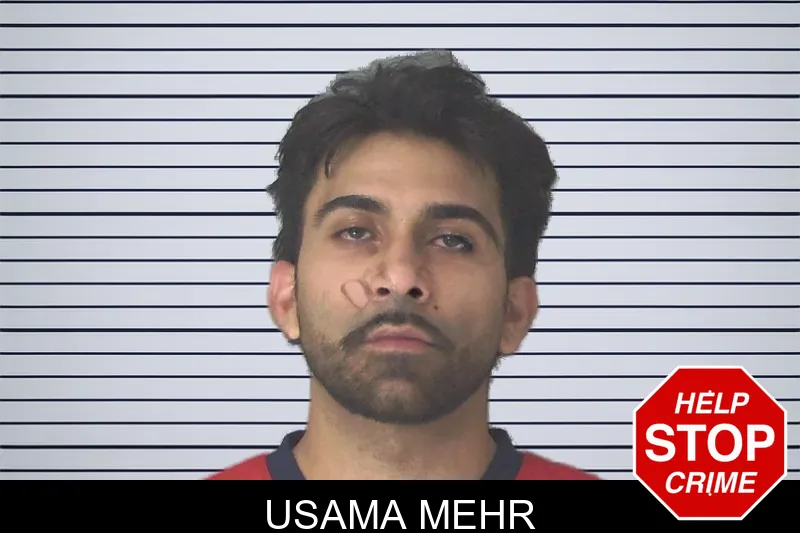Usama Mehr mugshot