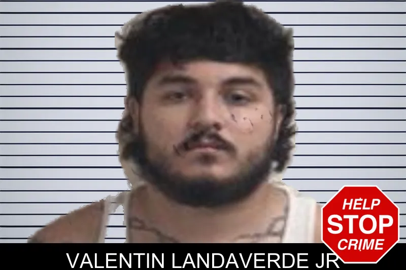 Valentin Landaverde Jr mugshot