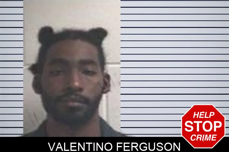 Valentino Ferguson mugshot