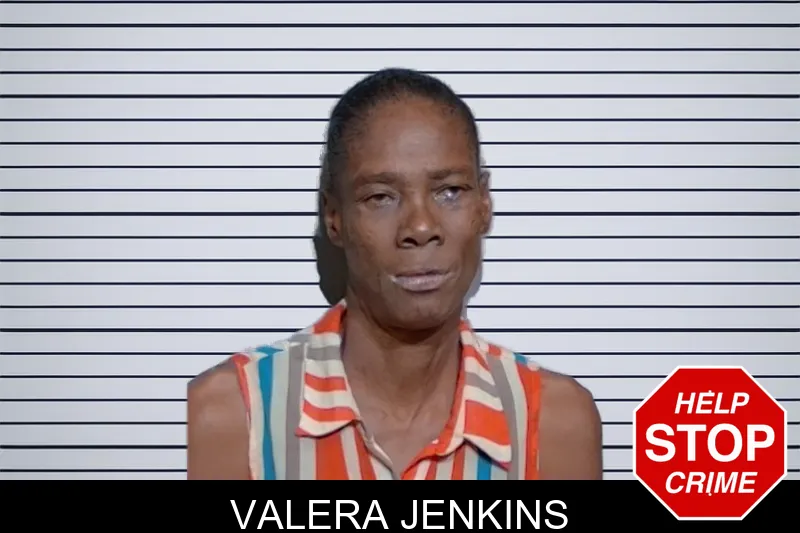 Valera Jenkins mugshot