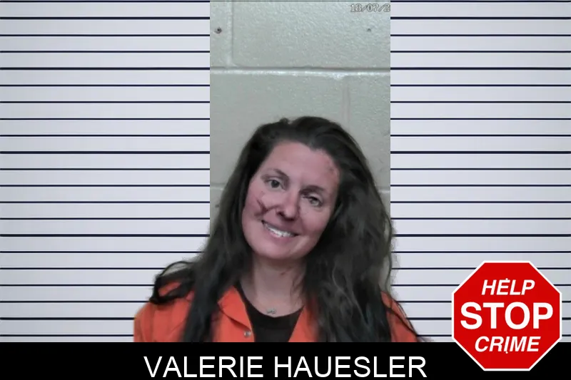 Valerie Hauesler mugshot