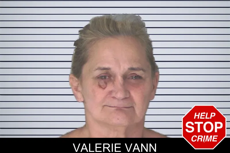 Valerie Vann mugshot