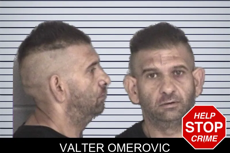 Valter Omerovic mugshot