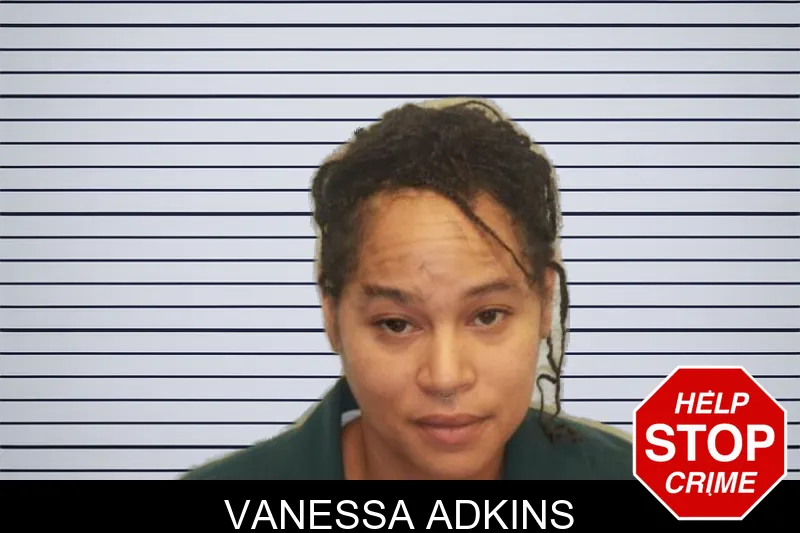 Vanessa Adkins mugshot