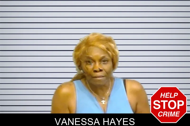 Vanessa Hayes mugshot