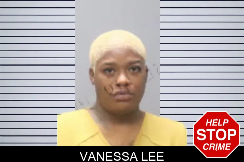 Vanessa Lee mugshot