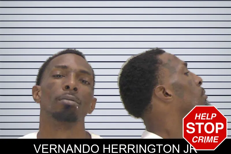 Vernando Herrington Jr mugshot