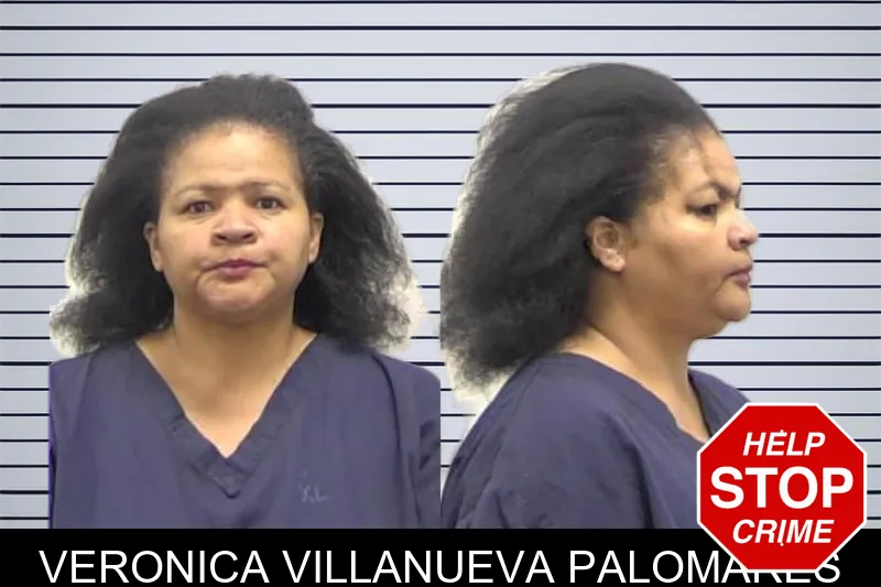 Veronica Villanueva Palomares mugshot