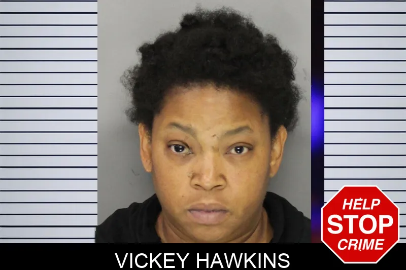 Vickey Hawkins mugshot