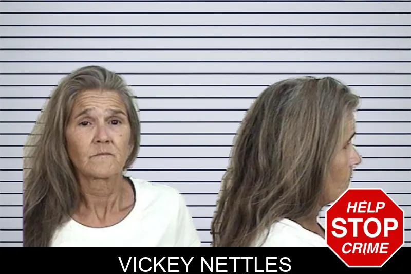 Vickey Nettles mugshot