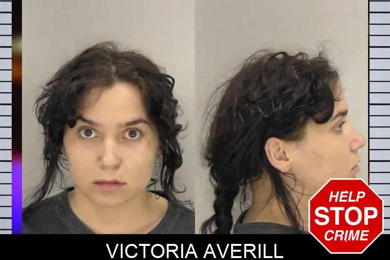 Victoria Averill mugshot