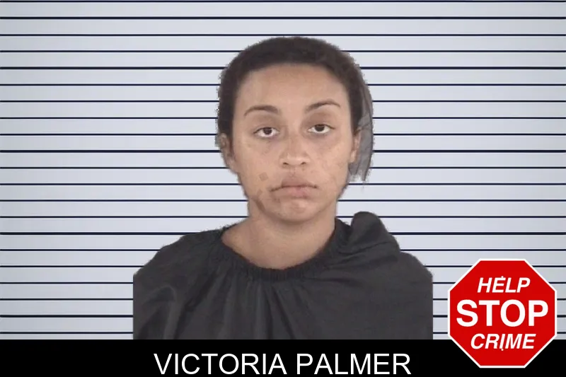 Victoria Palmer mugshot