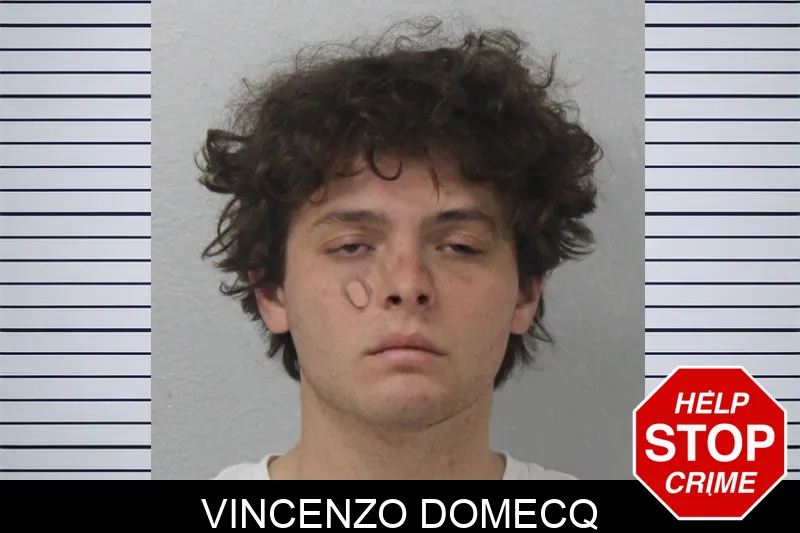 Vincenzo Domecq mugshot