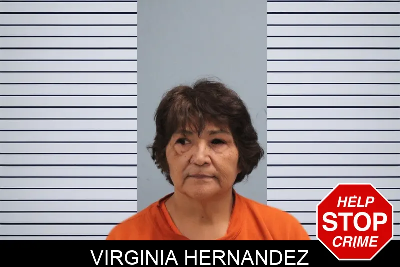 Virginia Hernandez mugshot