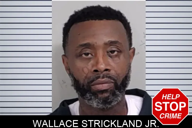 Wallace Strickland Jr. mugshot