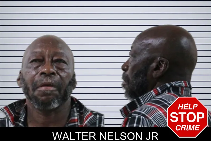 Walter Nelson Jr mugshot