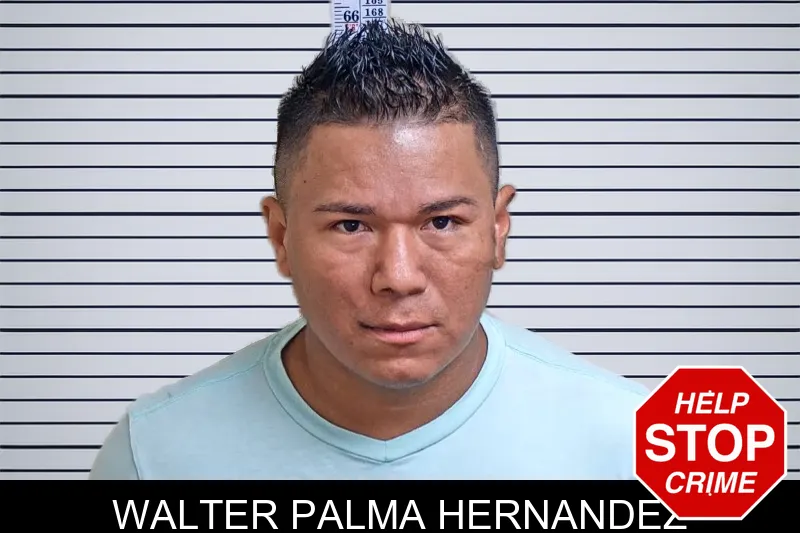 Walter Palma Hernandez mugshot