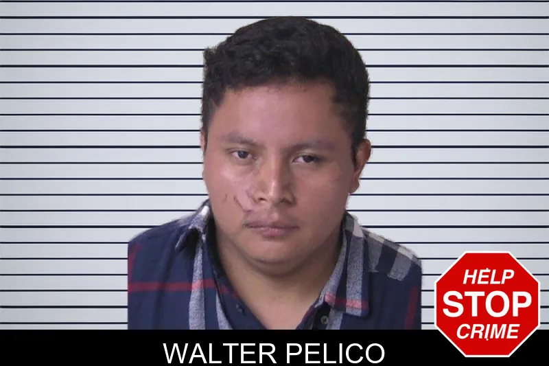 Walter Pelico mugshot
