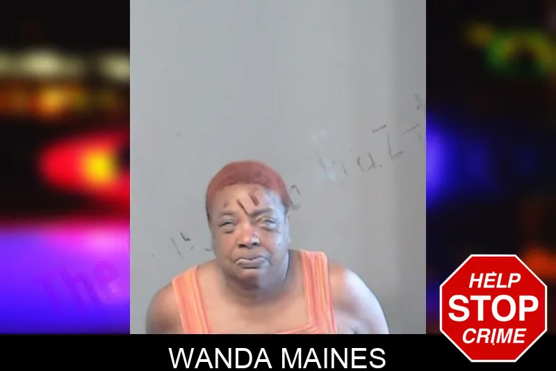 Wanda Maines mugshot