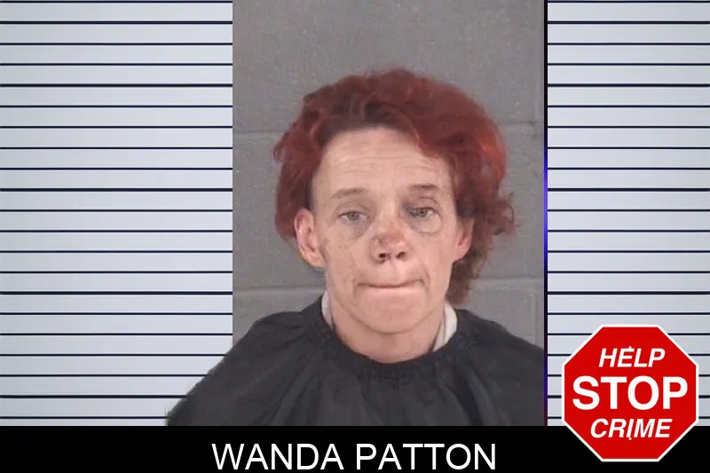 Wanda Patton mugshot