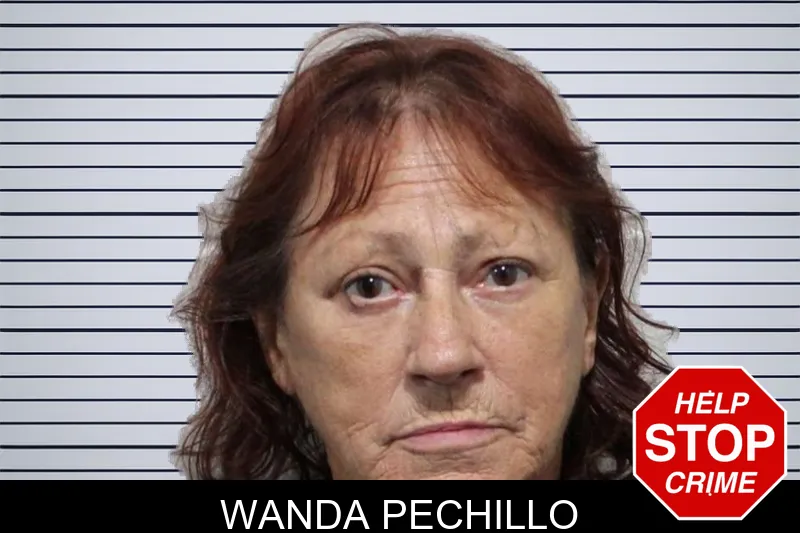 Wanda Pechillo mugshot