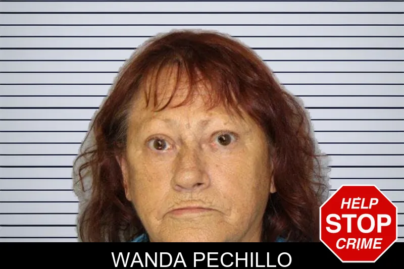 Wanda Pechillo mugshot