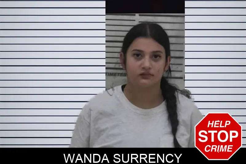 Wanda Surrency mugshot
