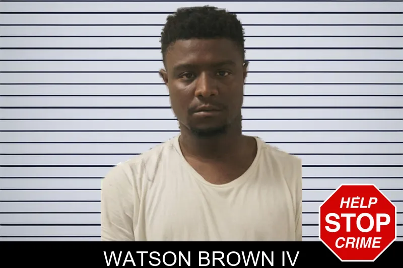 Watson Brown Iv mugshot
