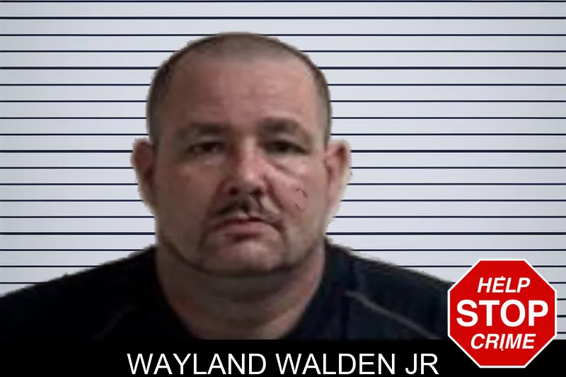 Wayland Walden Jr mugshot