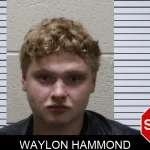 Waylon Hammond mugshot